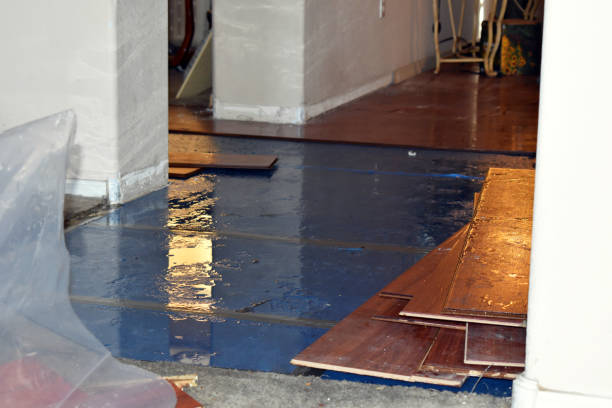 Professional Burst Pipe Cleanup technician working in Camano Island, WA