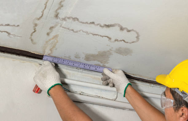 Reliable Burst Pipe Cleanup contractor in Camano Island, WA by Water Damage Irwin